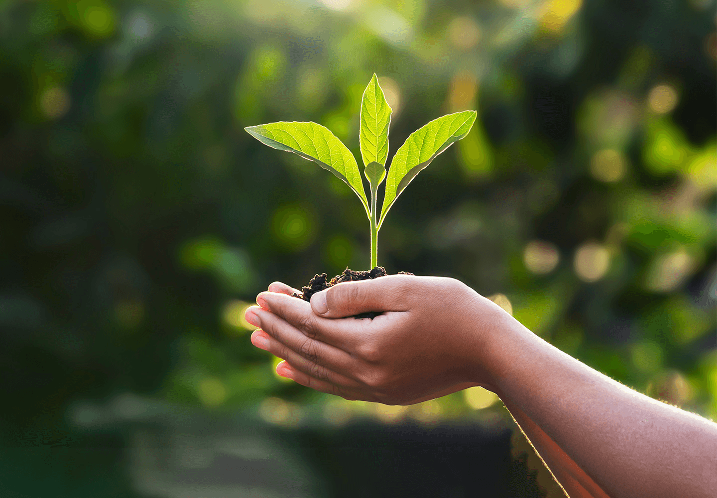 Заштита животне средине